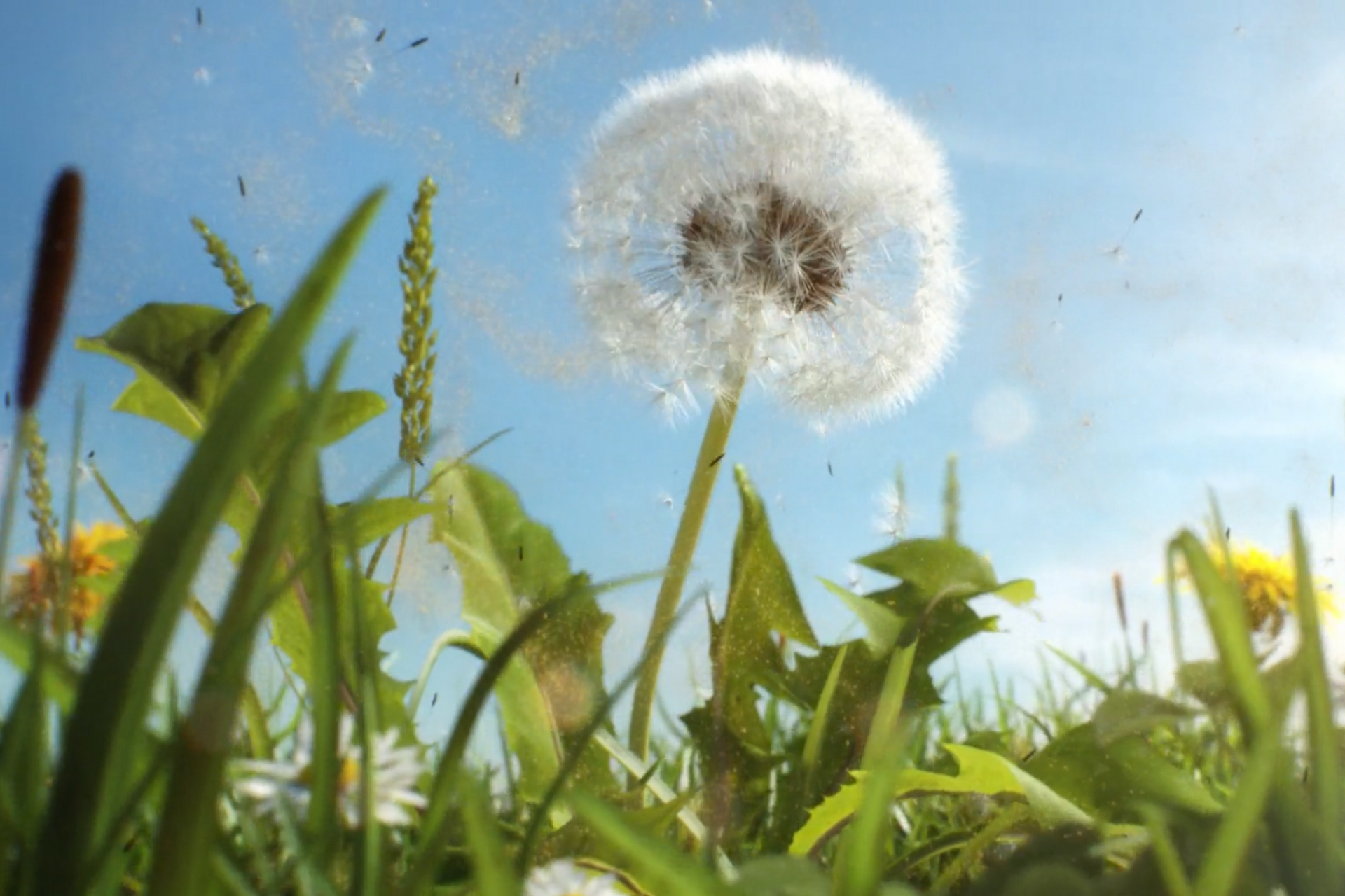 Kampagne: Johnson&Johnson "Livocab Etcomed"